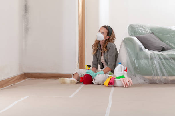 Reliable Basement Mold Remediation contractor in Holly Springs, NC by WQB Mold Removal